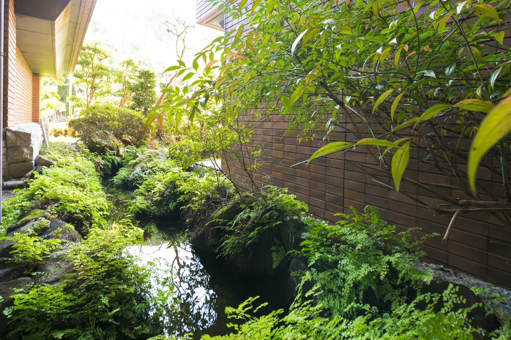 Hotel Yunosato Sugina à Yugawara Extérieur photo